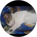 Foto de perfil de Nahiara Paz